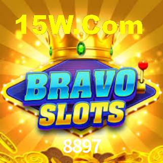 Premium Interface 8897