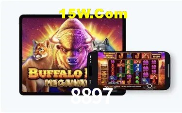 Recursos de Bônus 8897